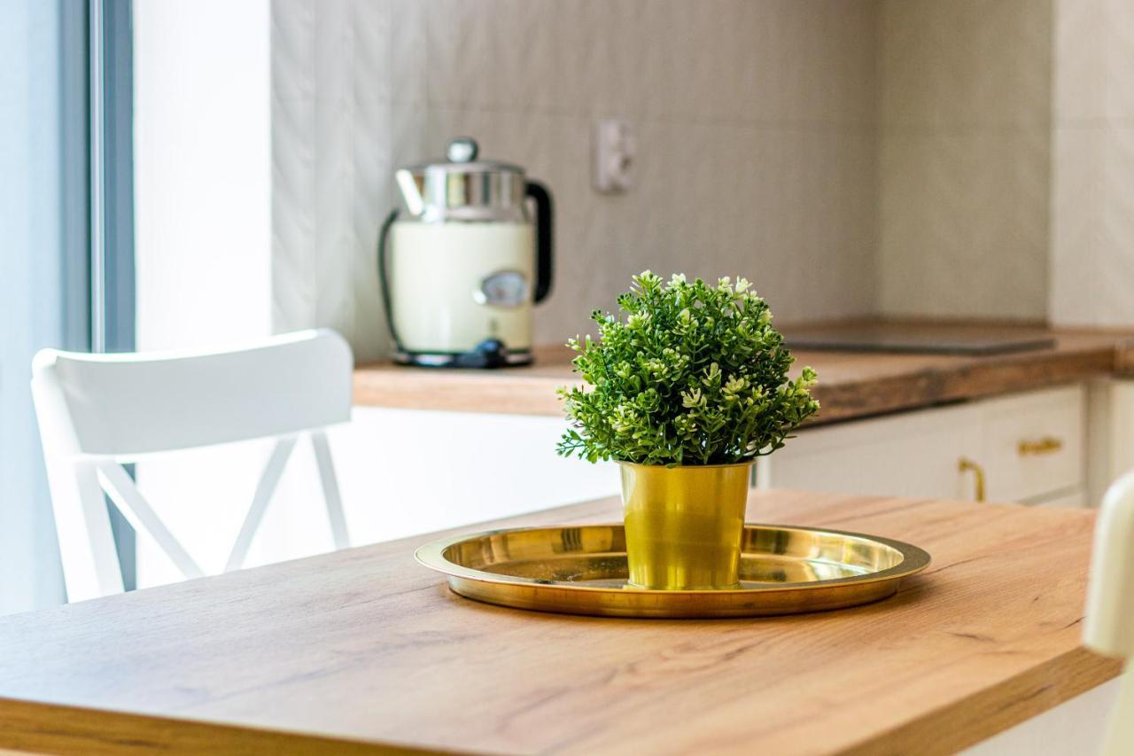 Apartamenty Sailor 포고르젤리차 외부 사진